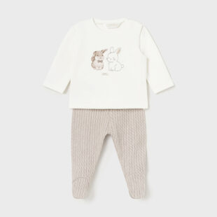 Kompl. półśpiochy struktura